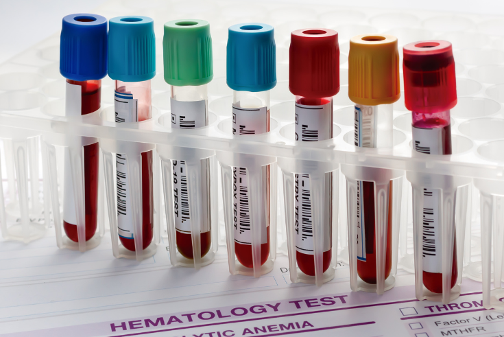 The Galen and Hilary Weston Foundation tweet media