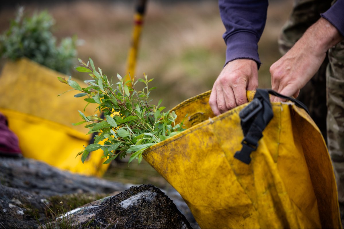 Trees for Life tweet media