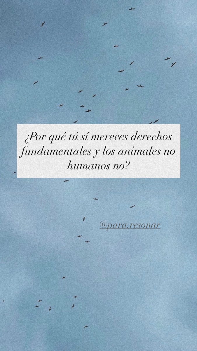 Alina (@alina_gag) on Twitter photo 