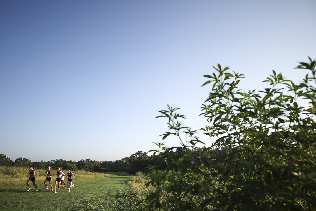 Texas A&M Track & Field/Cross Country tweet media