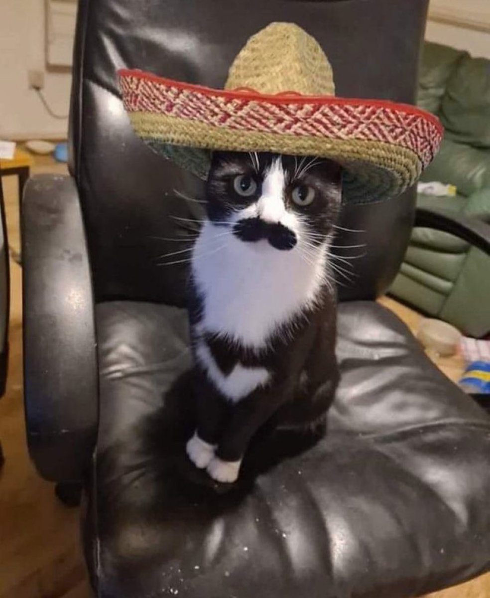 Me when I pronounce 'paella' like pah-eh-yah.