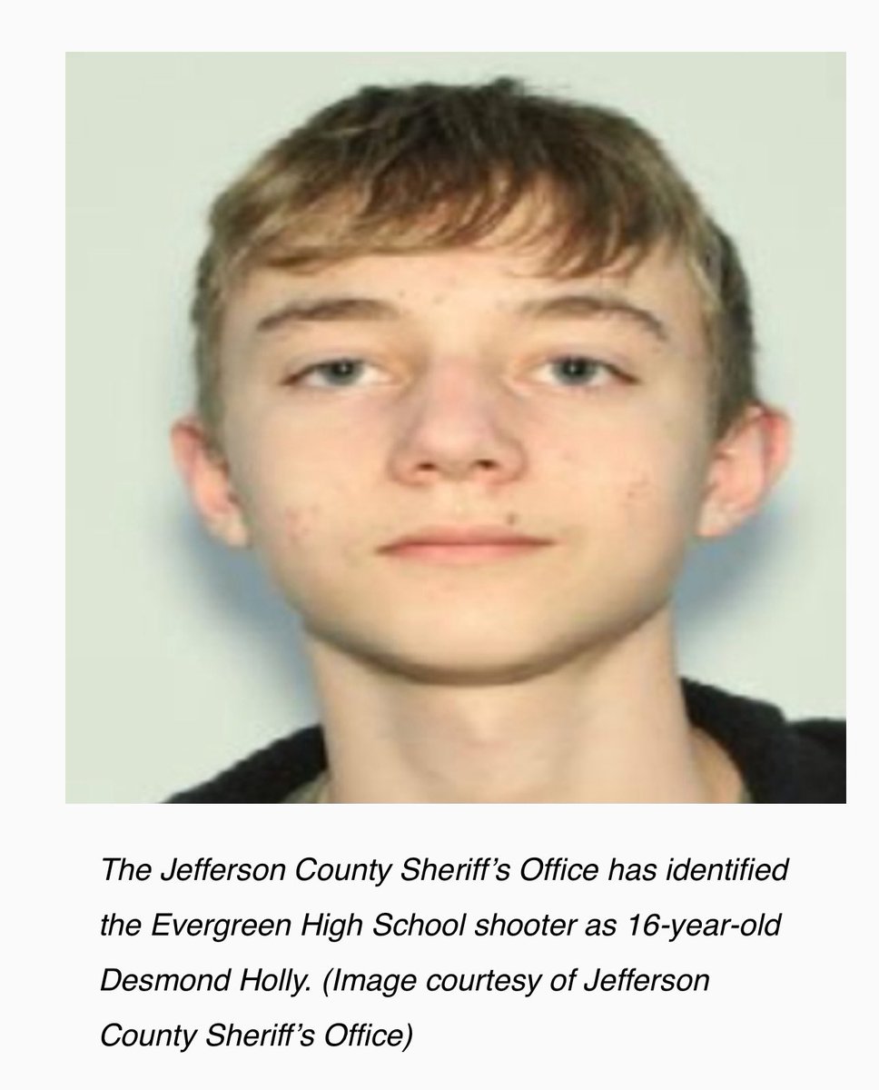 Ryan Shead tweet media