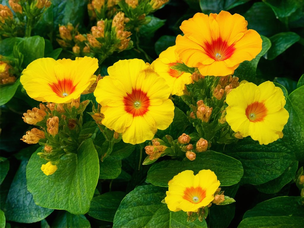 Lillysmoment's tweet image. 🌸 Ever feel like a wallflower at the party?
You’re not alone—sometimes the best stories bloom quietly in the corners.
Embrace your vibe.
#IntrovertEnergy #WallflowerWisdom