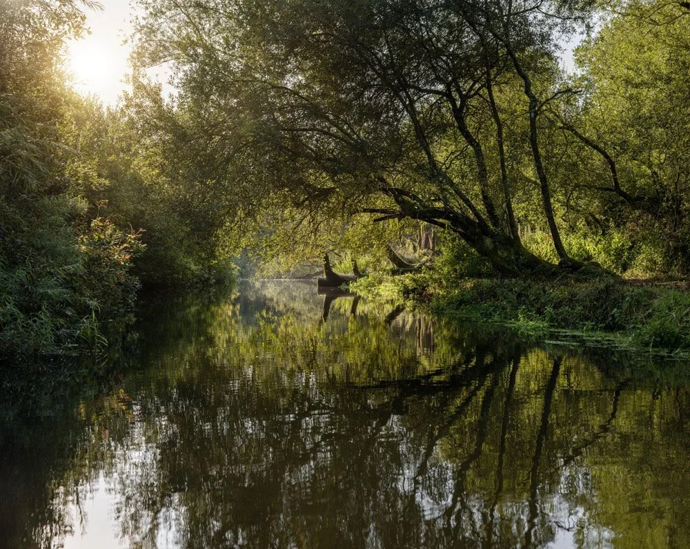 Reflections in the River Wensum in Norfolk, from a morning canoe down the river a couple of years ago.