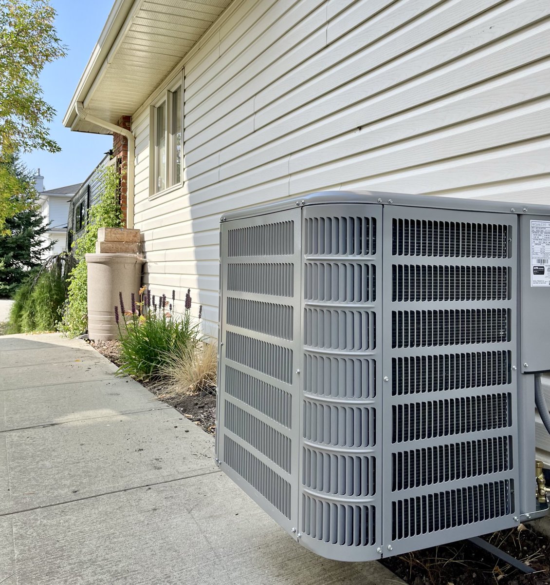 Passports & Pigtails 🧡💙 tweet media