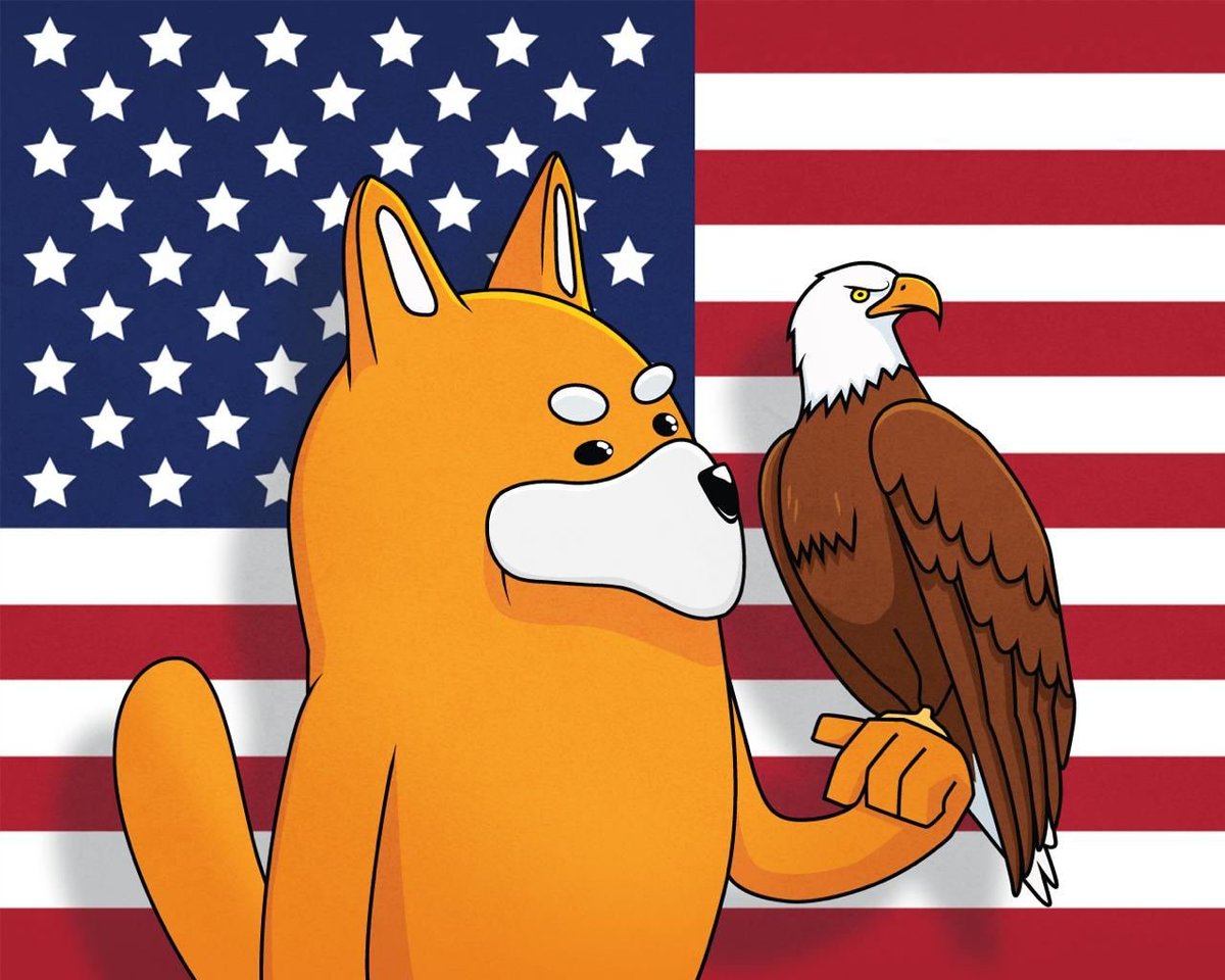 Raydium's tweet image. BONK the trenches 🦅☝️