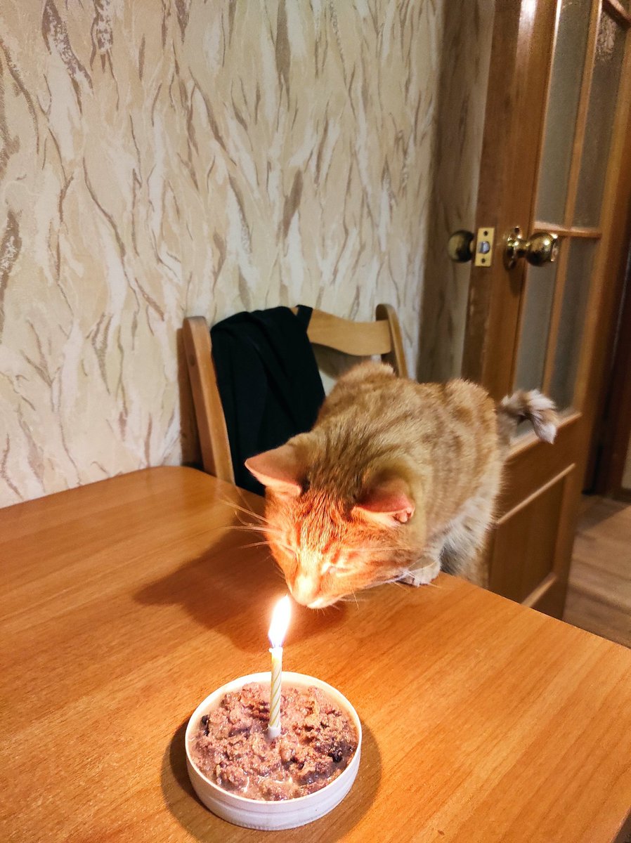 Сегодня ДР у Персика