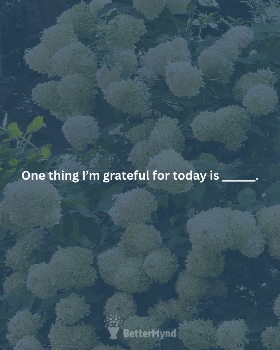 BetterMynd tweet media