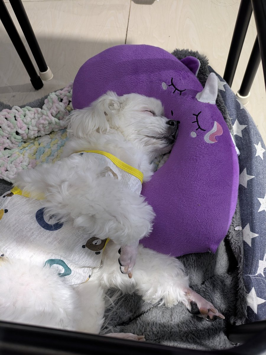 eepy time