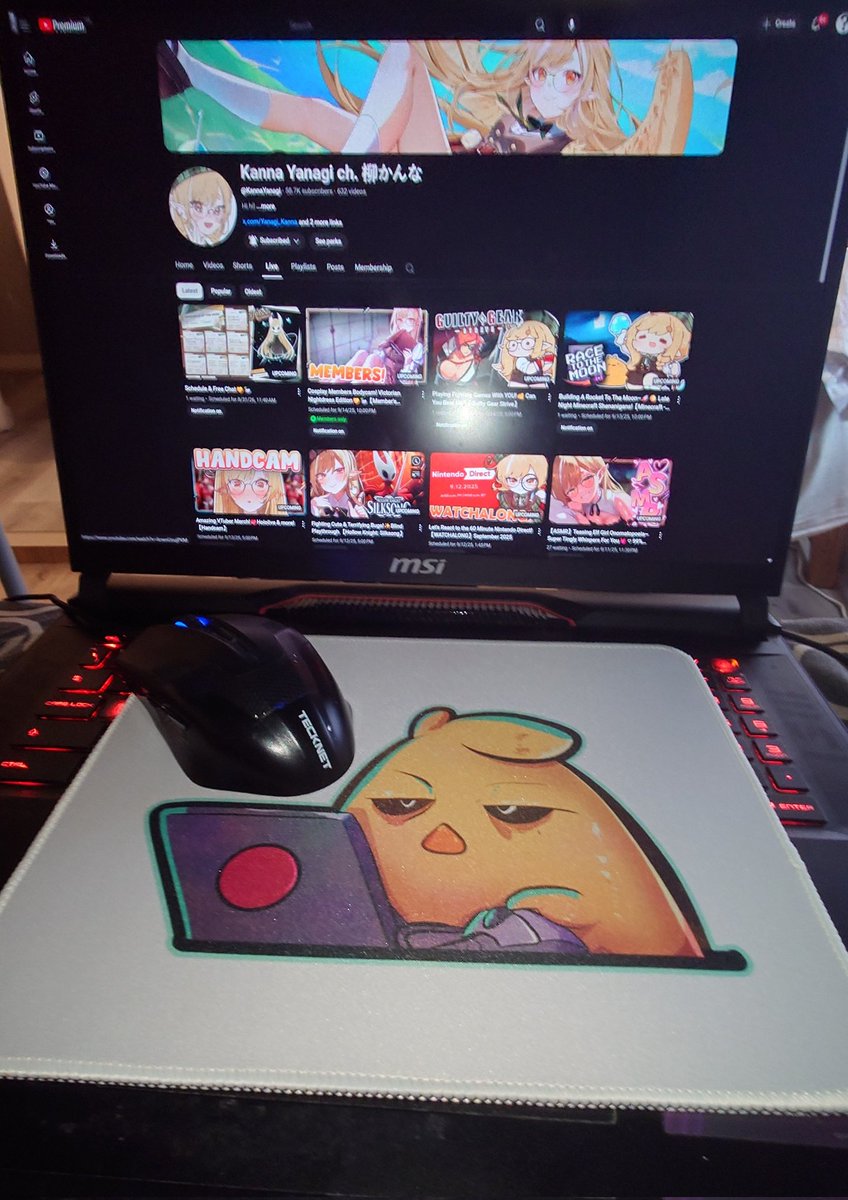 #KannOfPaint
So I decided to turn the Kamo PC fanart into a mousepad.
Here it is with my laptop and mouse for scale.
The website that lets you customise the things you order is called "id gaming". Came within a few days