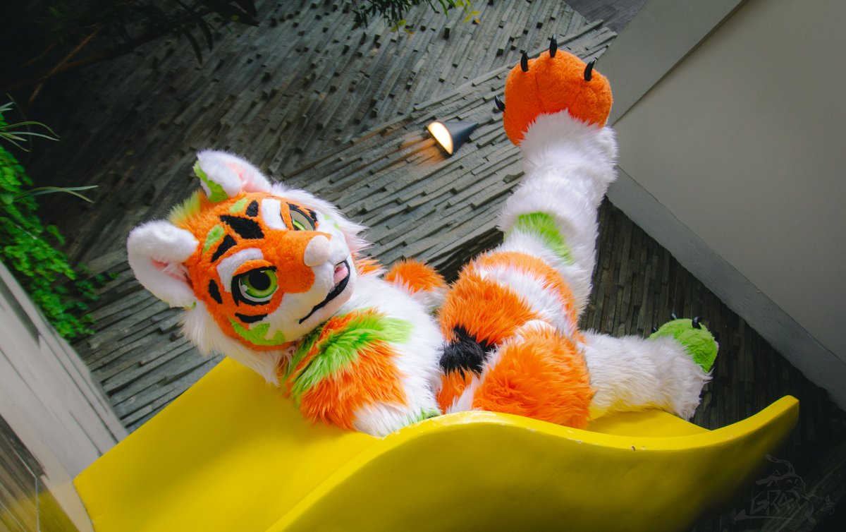 ええ？？俺の座り方が変？？そうかもね

📷：<a href="/graystripe987/">灰灰灰</a>
#FursuitFriday