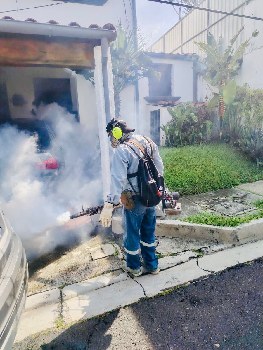 AlcaldiaAntiguo's tweet photo. 🦟⛔ Protegiendo a nuestros vecinos de las enfermedades transmitidas por vector!

📍Calle Teolt, Villas de Cuscatlán, Pje. A y Senda Teolt
📍Complejo de ANDA
.
#MilagroNavas #LaLibertadEste #Fumigación https://t.co/l73NMVpK4T