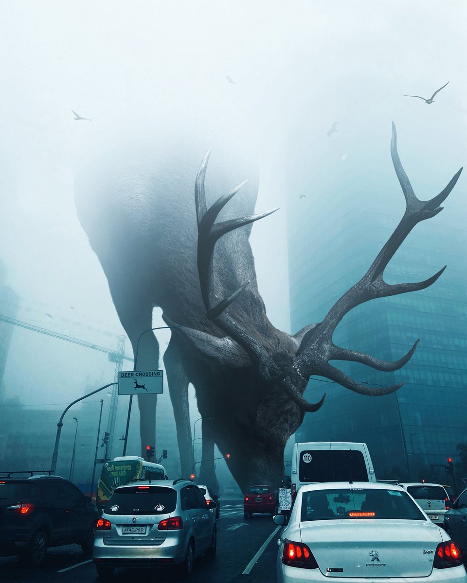 Ayaz Malik tweet media