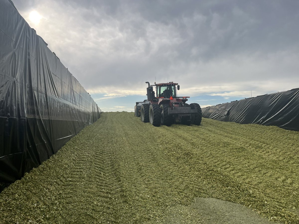 Keith Schweitzer tweet media