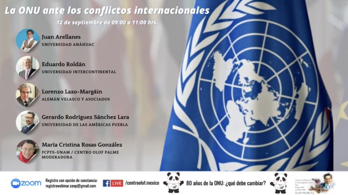 Lorenzo Lazo tweet media