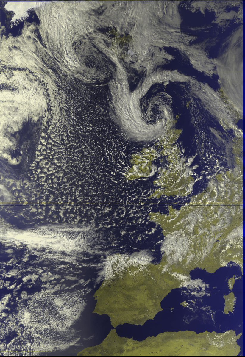 Michael Still tweet media