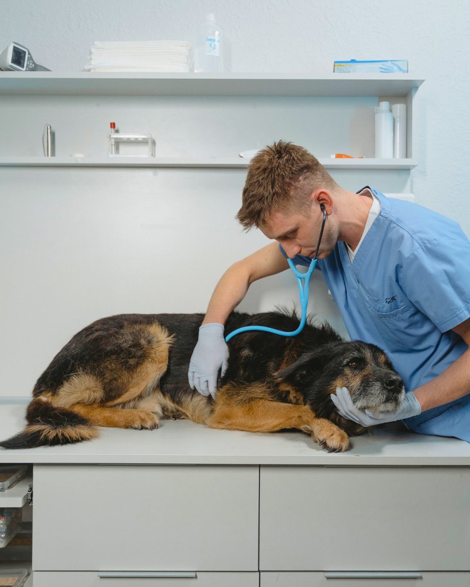 rnplcredit's tweet image. Life doesn’t pause when rent’s due. That’s why RNPL exists: to help you handle it all—without losing your home.
#LifeHappens #RentHelp #EmergencyFunds #MoneyTips #FinancialRelief #RentNowPayLater