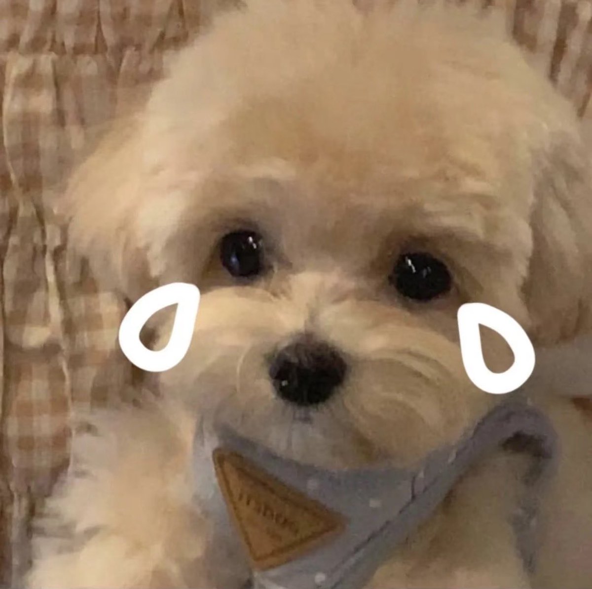 Enqilili's tweet photo. #백현이 #백현아 #백현 #Baekhyun
백현아 나는 너를 너무 사랑해, 오빠를 너무 사랑하는 것도 병이야 https://t.co/XVG4pCIj7b