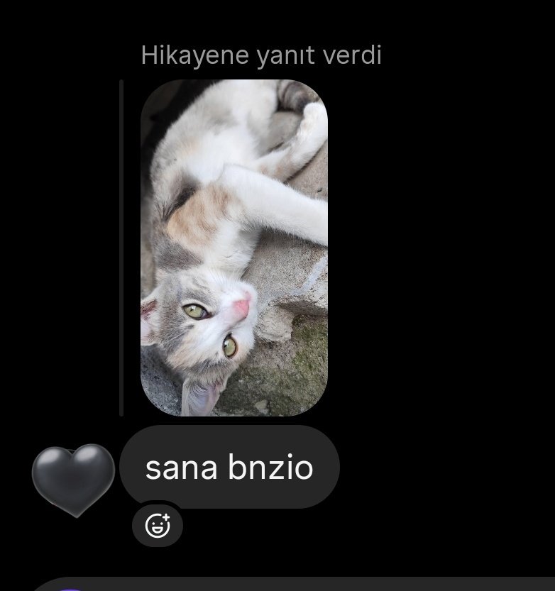 en sevdigiimm en sevdiiigiimm