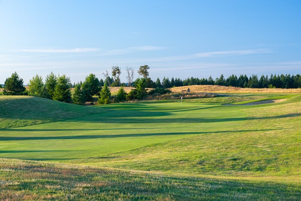 #16 😎⛳️

#thehomecourse #wagolf #ScenicViews #golfing #golflife