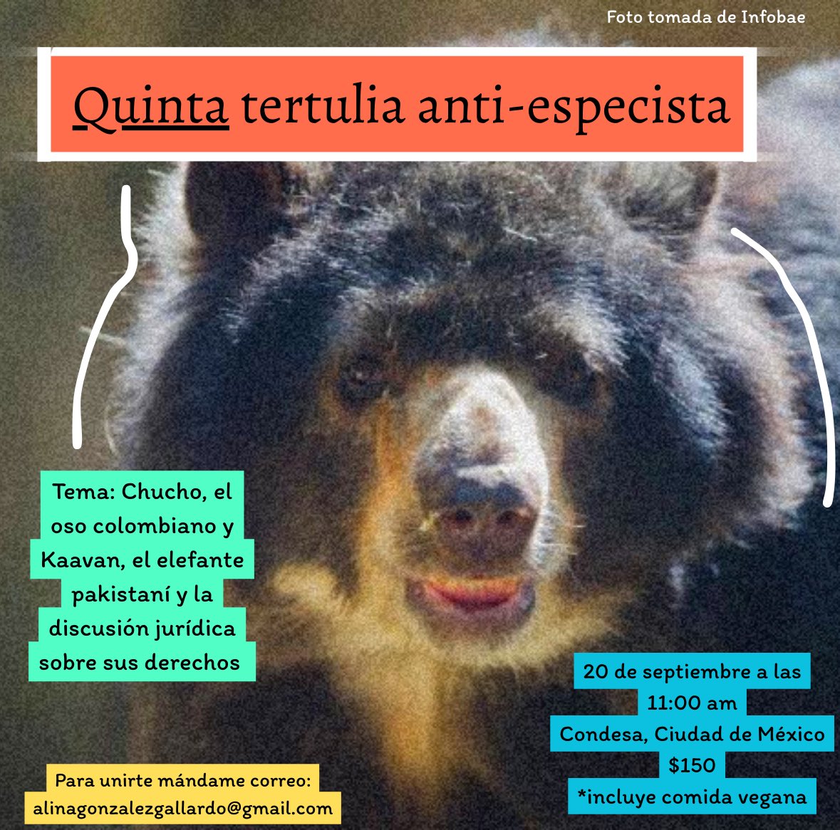 Recuerden que el 20 de septiembre tenemos tertulia anti-especista :)

Ya solo quedan 3!

Discutimos sobre derecho animal, justicia y casos sobre animales en las cortes

Además hasta funcionan para conocer personas porque viene la gente más chida :)

Espero sus correos 🩷