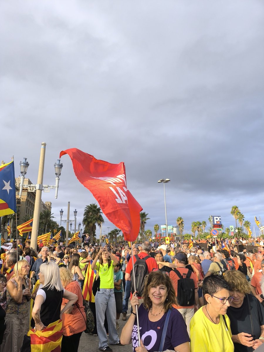 La Intersindical Universitats i Recerca tweet media