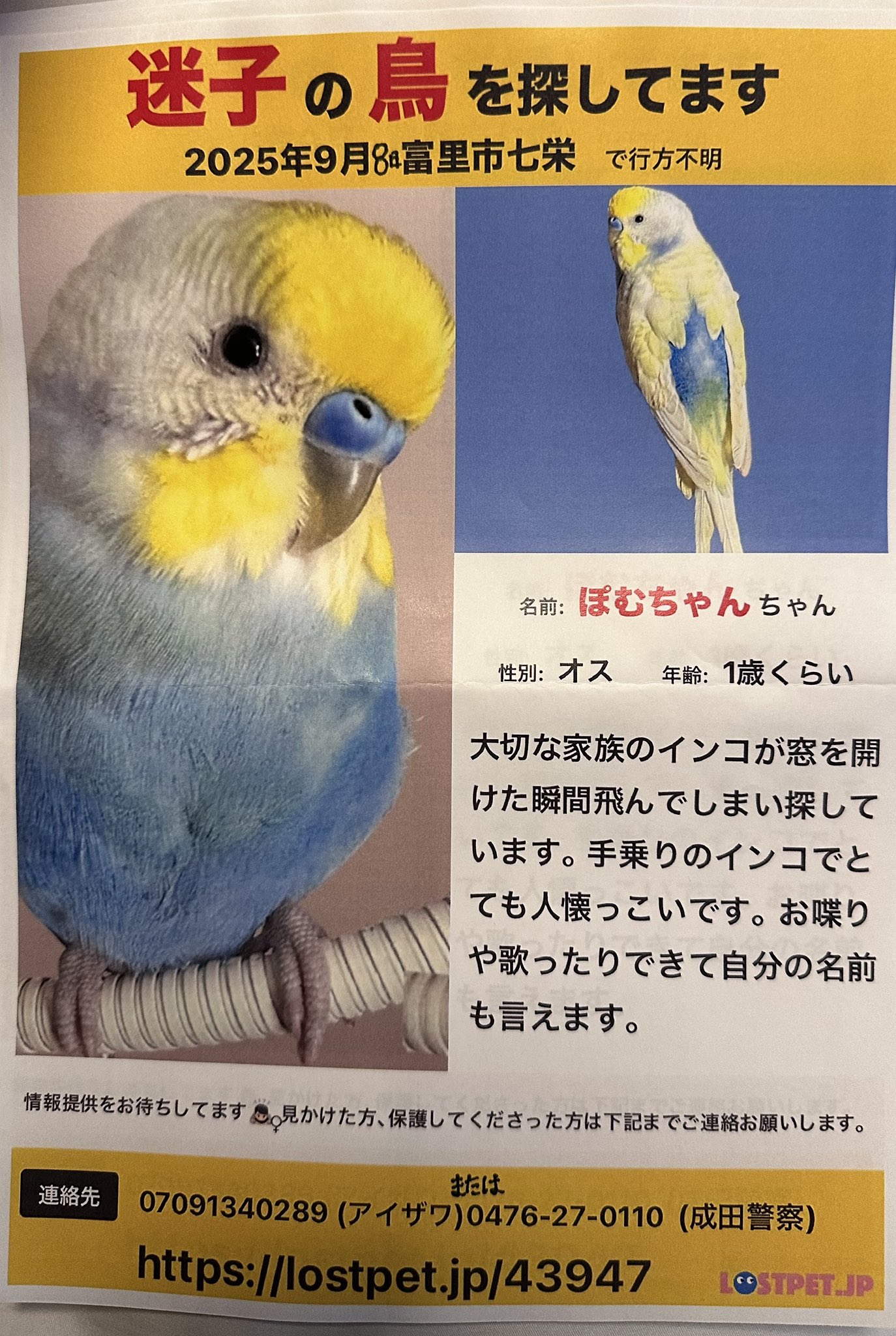 かーかー (@miyangel23) / X