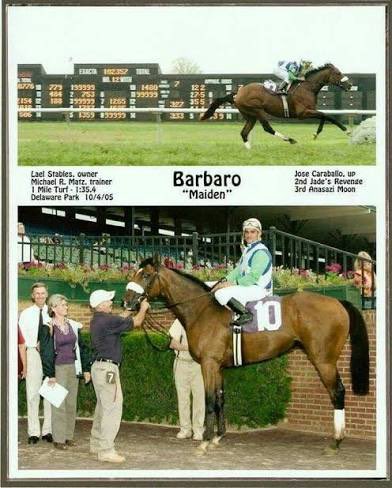 #ThrowbackThursday #TBT
#Barbaro breaking maiden in his racing debut at Delaware Park in 2005. #HorseRacing 📸: Debra Manning