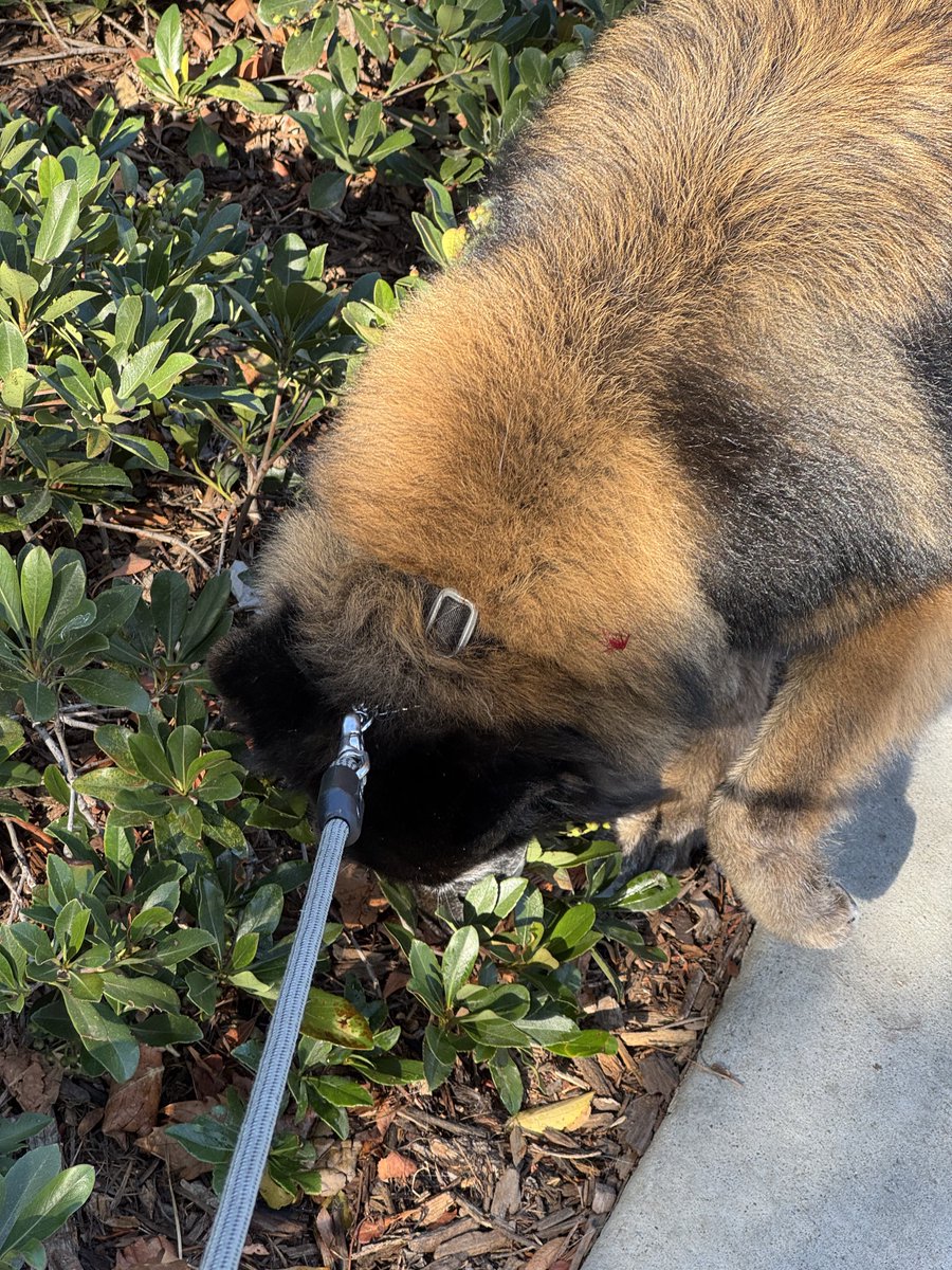 목에 새빨간게 보여서 놀랐는데 꽃이었고