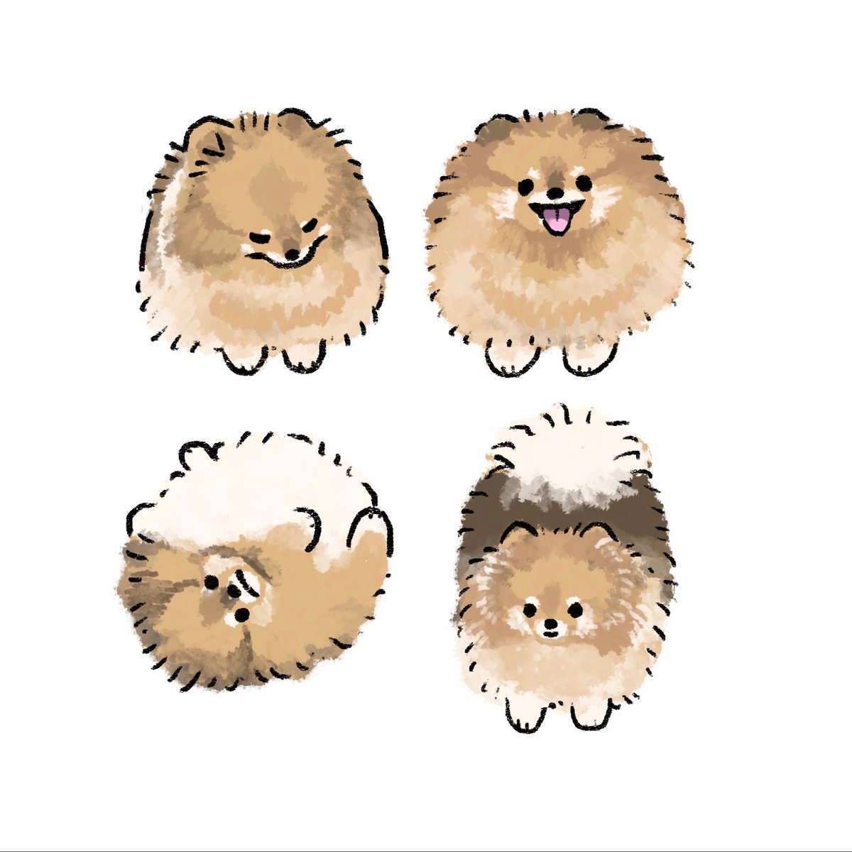 ありがとうございます！🐶 <a href="/mugipome/">むぎ</a>