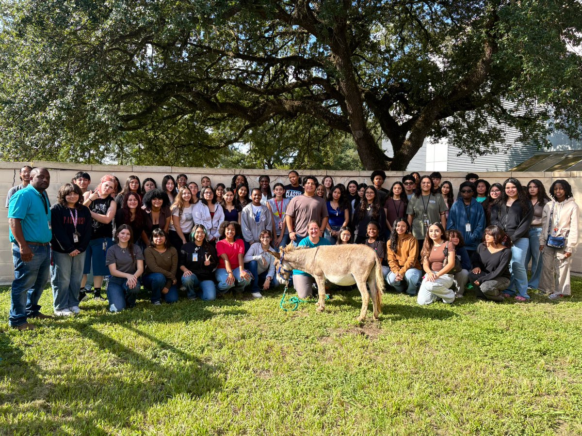 Ms.Grissom’s Ag Classes (@grissom_ag) on Twitter photo Benny the Donkey from TMR rescue has returned for his annual visit to Wusnche Vet science courses. We love learning about donkey care, how to halter and check vitals. <a href="/SpringISD/">Spring ISD</a> <a href="/SpringISD_CTE/">SpringISD_CTE</a> <a href="/cwhs_springisd/">Carl Wunsche Sr. High School</a> Benny the Donkey from TMR rescue has returned for his annual visit to Wusnche Vet science courses. We love learning about donkey care, how to halter and check vitals. <a href="/SpringISD/">Spring ISD</a> <a href="/SpringISD_CTE/">SpringISD_CTE</a> <a href="/cwhs_springisd/">Carl Wunsche Sr. High School</a>