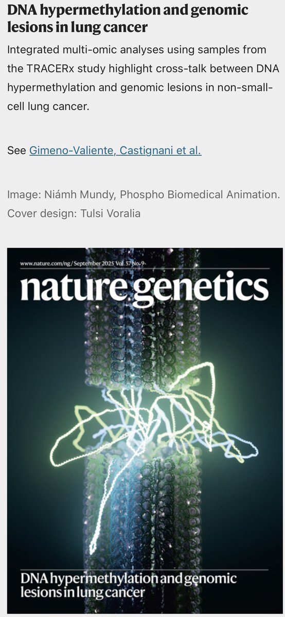 Noelia Tarazona tweet media