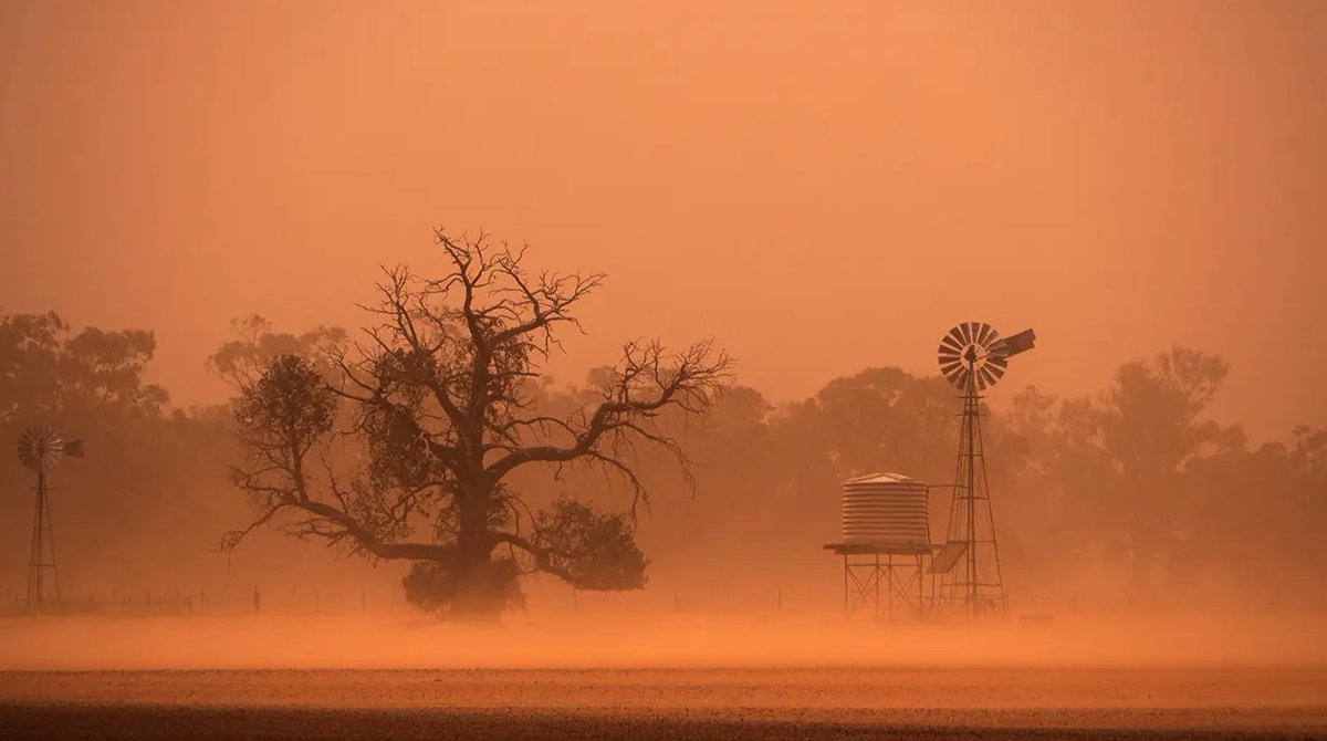 OleMissNews's tweet photo. Ole Miss Team Studies Health Threat From Southwest US Dust Storms

- Research collaboration to inform community health, advanced warning system

Full Story: https://t.co/PdpX3At3KG https://t.co/7CtmuTPYgV
