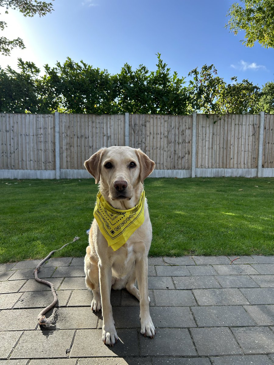 Rosie rocking the <a href="/basecamp/">Basecamp</a> bandana from Rails World.