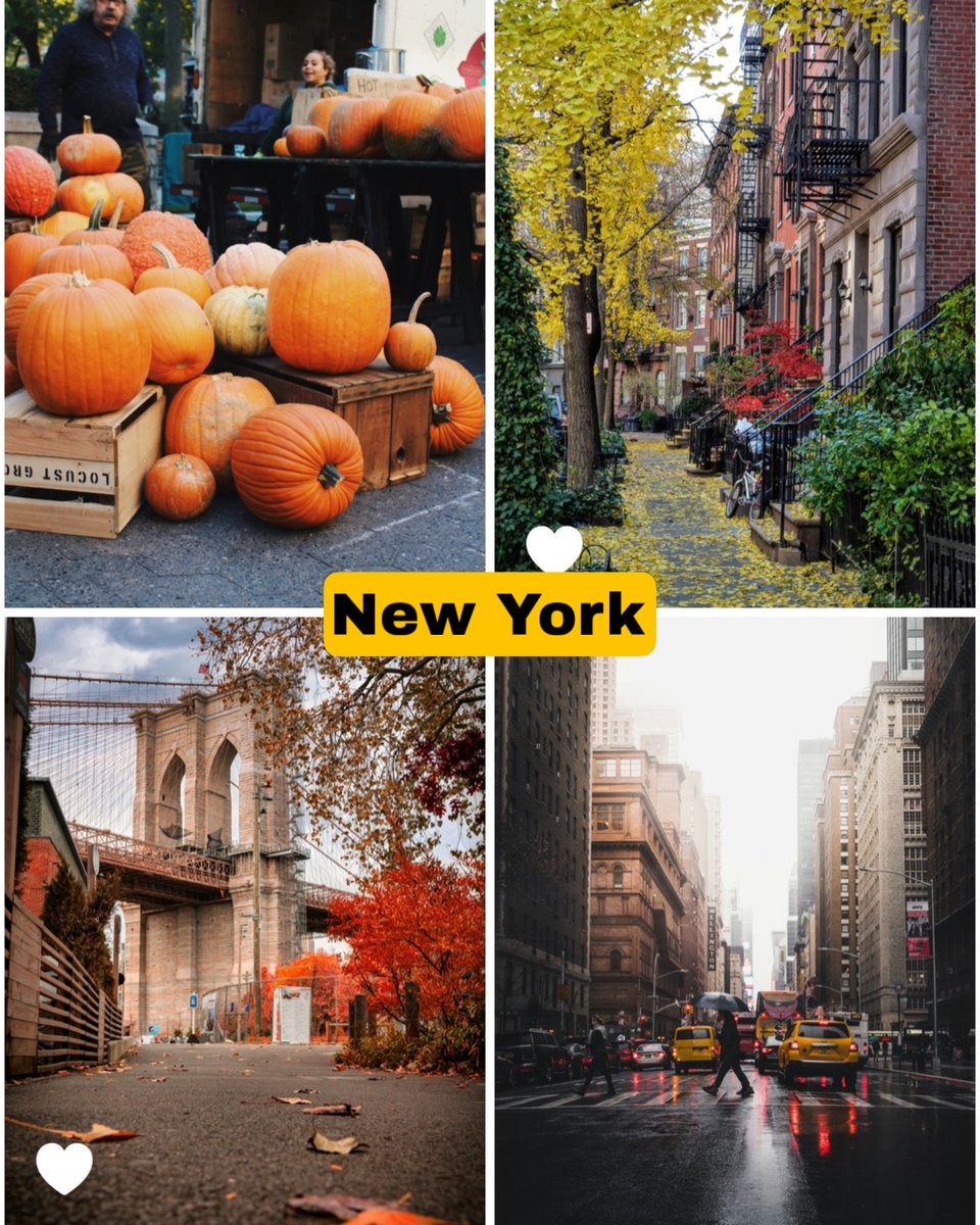 Top 4 autumn escapes 🍂: 
🚂 Edinburgh 
🥐 Paris 
🌲 Amsterdam 
🍎 NYC 

Cosy vibes guaranteed. Which would you pick? 

laterooms.com 

#FallTravel #DreamDestinations #LateRooms