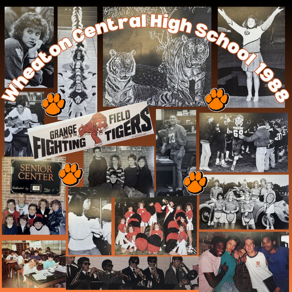 CUSD 200 #YourCommunitySchools tweet media