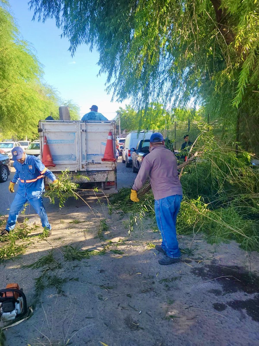 Empezamos el día atendiendo sus reportes 💪🏻💯

Realizamos trabajos como podas, barrido manual, y atención a basureros clandestinos en diferentes zonas de la ciudad 🙌🏻

Hoy y todos los días, #HermosilloCRECELimpio