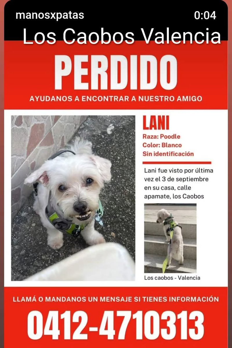 Se busca en Los Caobos, Valencia Carabobo