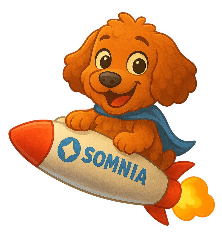 <a href="/SomniaEco/">ecosystem.somi</a> <a href="/SudoBlocks01/">SudoBlocks</a> <a href="/StakeCapital/">Stake Capital Group</a> Stay with Somnia 💜