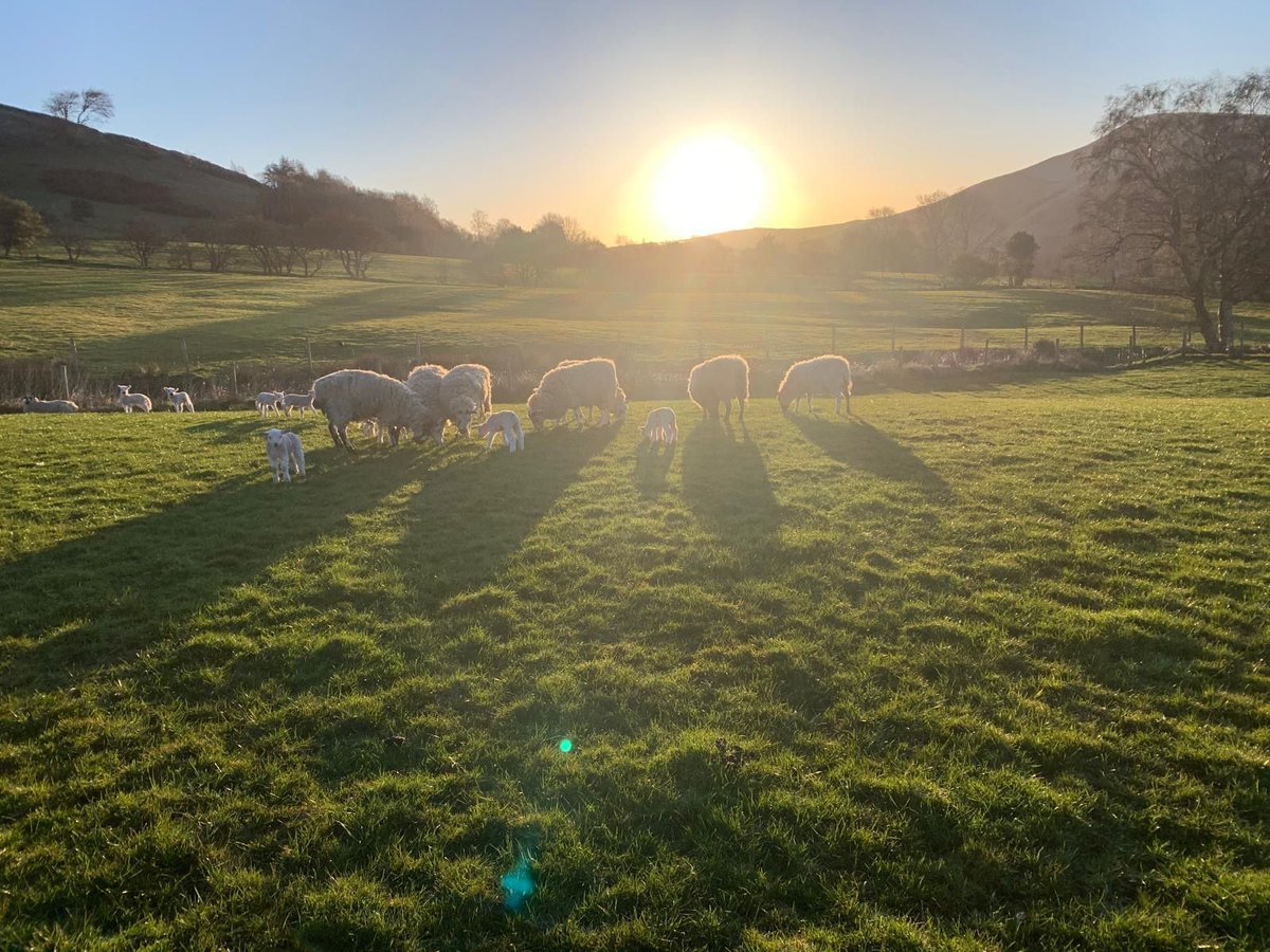 We’re looking for high-res, landscape photos of North Derbyshire to feature in our 2026 calendar helping to raise funds for Blythe House. Each chosen image will be printed with a full credit to the photographer! Send your photo to: fundraising@blythehouse.co.uk by Fri 12/09