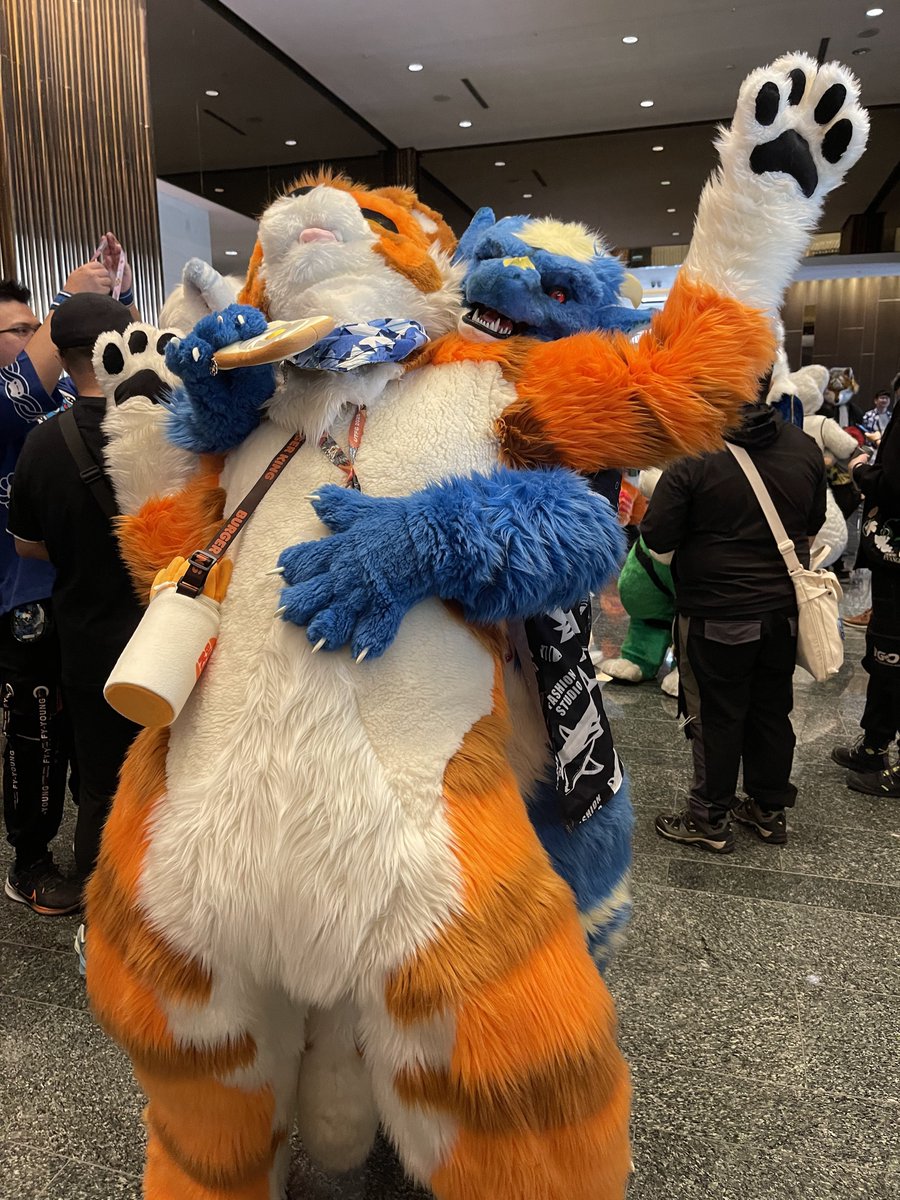 Caught a cute big tiger~
Wait! Don't move~~~

🐯<a href="/Chrisyang1155/">提格Tigger</a>
📸<a href="/Arthvina/">Arthvina 艾斯比那</a> 
#FursuitFriday