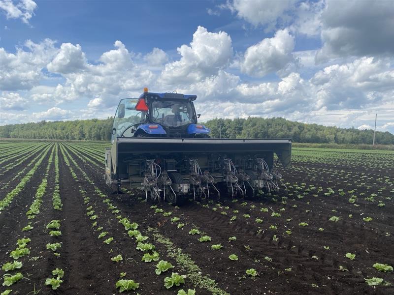 Stout Industrial Technology tweet media