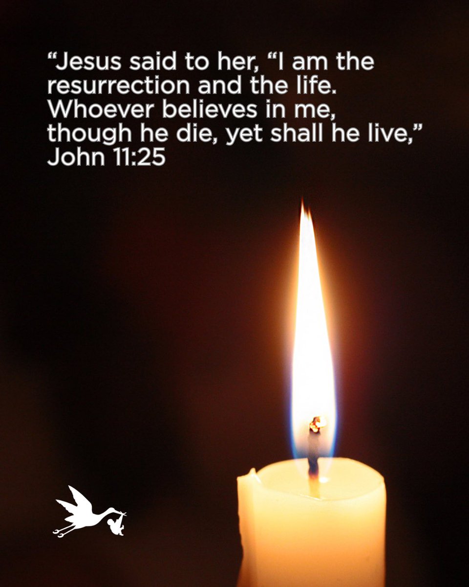 Save the Storks tweet media