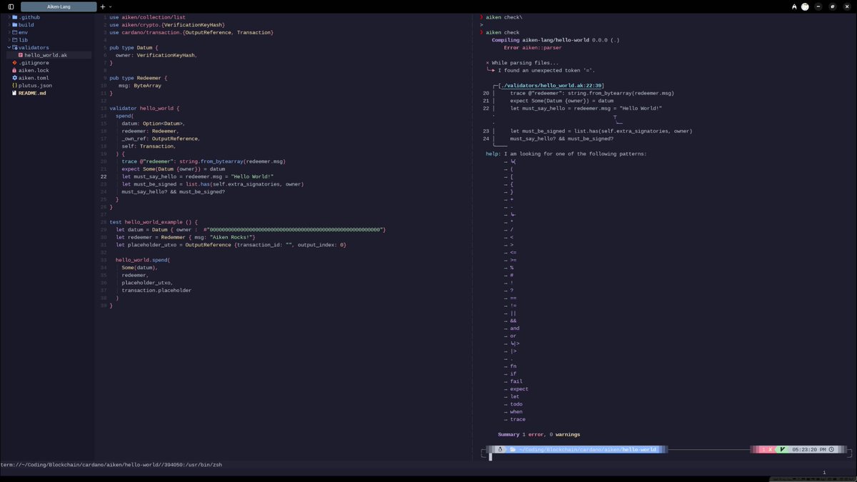 Just started trying out Aiken and I am loving the vibe already😎, made a [ = instead of == ] slip earlier and the compiler's error was really clean IMO.