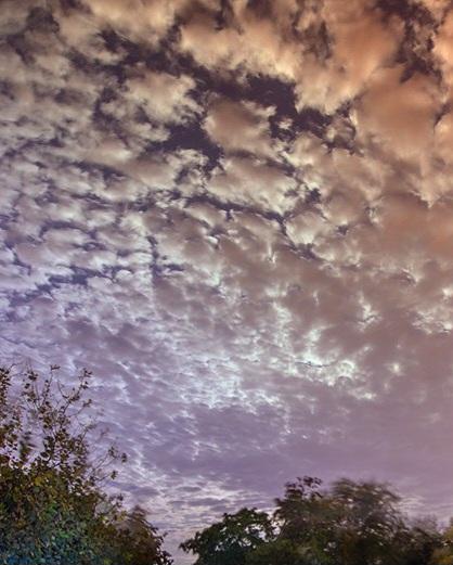 Катерина Галич tweet media