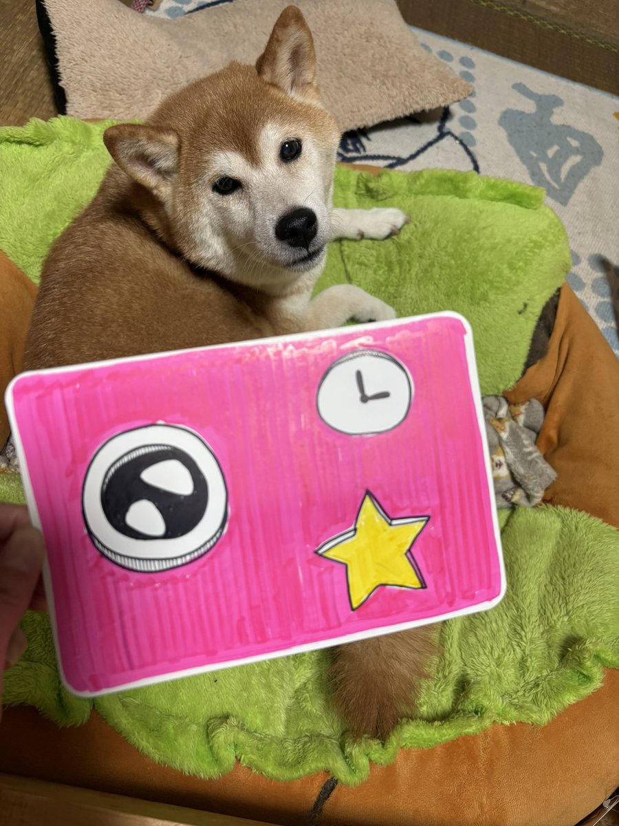 Yuu128Rs's tweet photo. 夜中に急に作りたくなったっぴ

#タコピーの原罪 
#ハッピーカメラ
#柴犬 https://t.co/2I8nYdjdKj