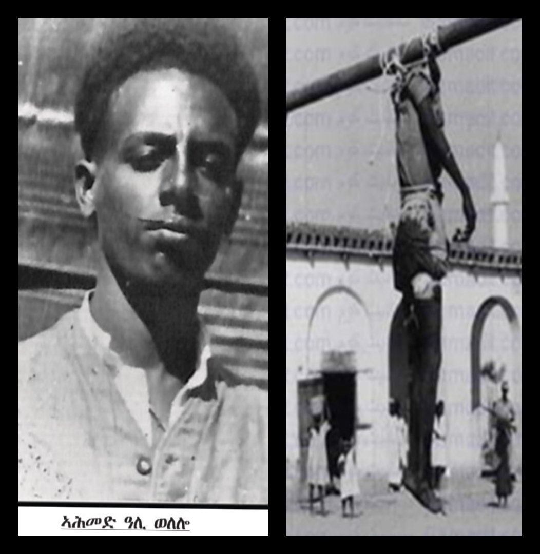 #Togorba 🇪🇷

After the war, Ethiopia🇪🇹 armed itself to unleash its anger on the fallen. The martyrs were collected where they had fallen and taken to the towns of Teseney, Barentu, Akurdet, and Keren in five, four, and three groups...

We will never forget the genocide against