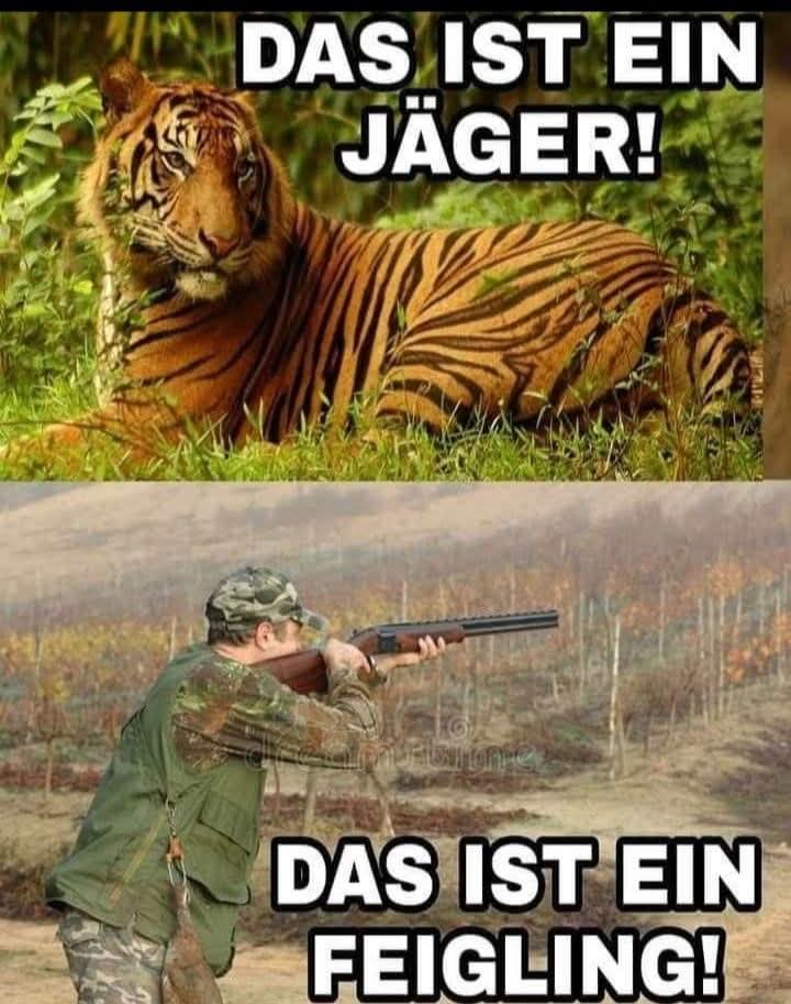GENAU SO IST ES!!!