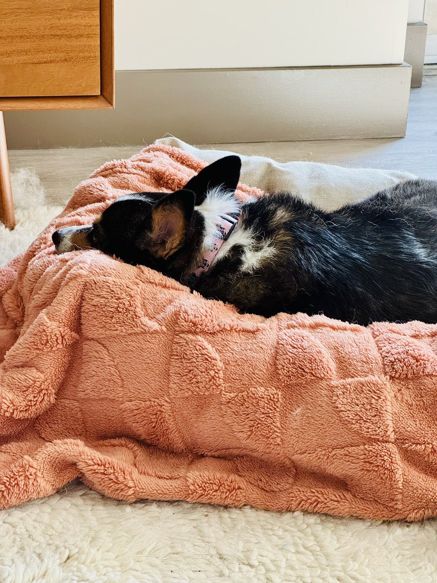 Cozy girl vibes 🍂🍁