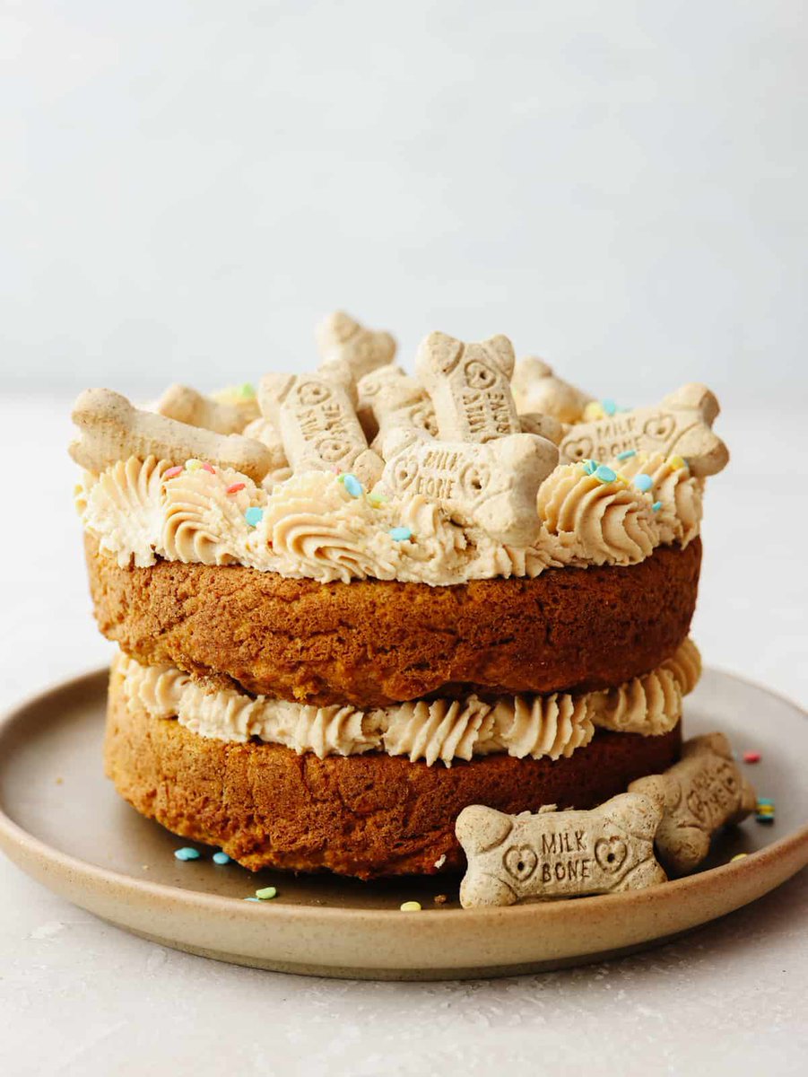 BerryBear mit Frauchen tweet media